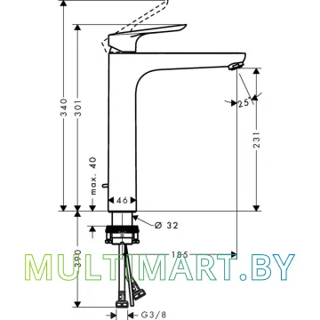 Смеситель Hansgrohe Logis E (71162000) картинка 2